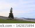Hilly areas heading towards winter and Christmas trees 142815894