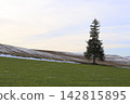 A single tree standing on a hill in early winter, Biei 142815895