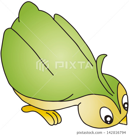 手繪鳥類插圖 ☆ 彩色鳥類 手繪鳥類插圖 ☆ 彩色鳥類 142816794