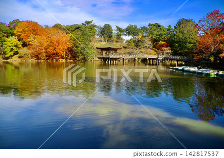 浮見堂和鷺池的秋景(奈良縣奈良市) 浮見堂和鷺池的秋景(奈良縣奈良市) 142817537