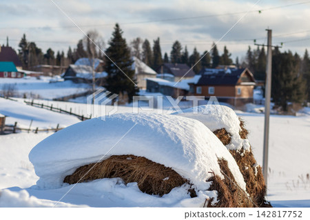 Snow-covered hay bales sit in a rural landscape featuring wooden houses and evergreen trees under a cloudy sky during winter season Snow-covered hay bales sit in a rural landscape featuring wooden houses and evergreen trees under a cloudy sky during winter season 142817752