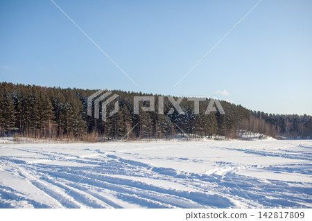 Snowy landscape features a line of evergreen trees under a clear blue sky, creating a tranquil winter scene with untouched snow Snowy landscape features a line of evergreen trees under a clear blue sky, creating a tranquil winter scene with untouched snow 142817809