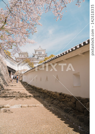 Cherry blossom path along the white walls of Himeji Castle Cherry blossom path along the white walls of Himeji Castle 142818335