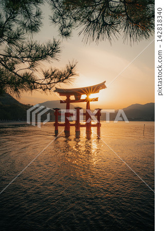 The large torii gate at sunset, surrounded by pine trees. The large torii gate at sunset, surrounded by pine trees. 142818340