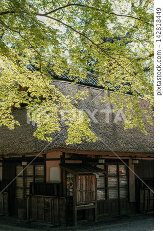 Thatched roofs and fresh greenery in Nara Thatched roofs and fresh greenery in Nara 142818449