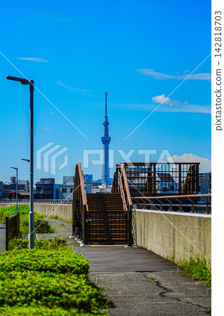 從Sumidagawa Terrace您想要的天空樹 從Sumidagawa Terrace您想要的天空樹 142818703