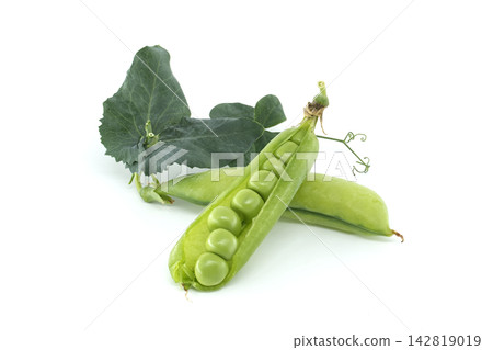 Fresh green peas in pods with leaves and tendrils on a white background Fresh green peas in pods with leaves and tendrils on a white background 142819019