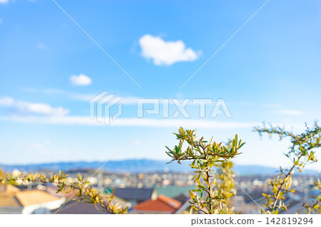 A view of the residential area and blue sky from the hill. A view of the residential area and blue sky from the hill. 142819294