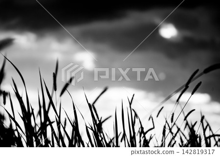黑白相間的草地輪廓,映襯著壯麗的雲彩。 黑白相間的草地輪廓,映襯著壯麗的雲彩。 142819317