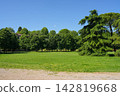 Green park in Italy at summer sunny day 142819668