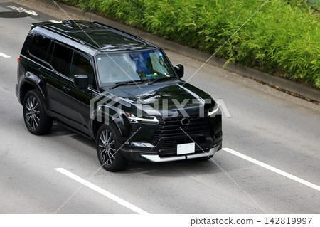 Domestic SUV vehicle image 142819997
