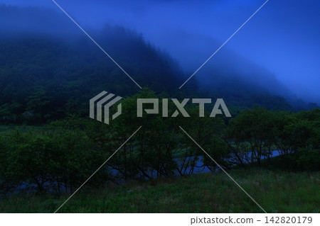 Forest wrapped in fog Forest wrapped in fog 142820179