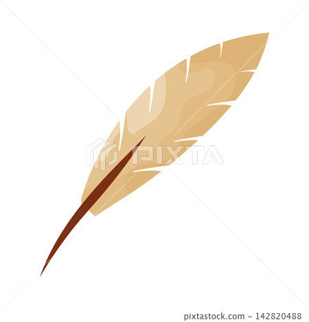 Illustration of Feather Ornament Illustration of Feather Ornament 142820488