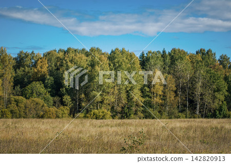 Autumn Forest Meadow with Blue Sky Autumn Forest Meadow with Blue Sky 142820913