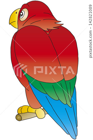 Hand-drawn bird illustration ☆ Macaw Hand-drawn bird illustration ☆ Macaw 142821089