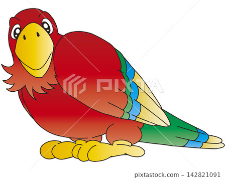 手繪鳥類插圖☆金剛鸚鵡 手繪鳥類插圖☆金剛鸚鵡 142821091