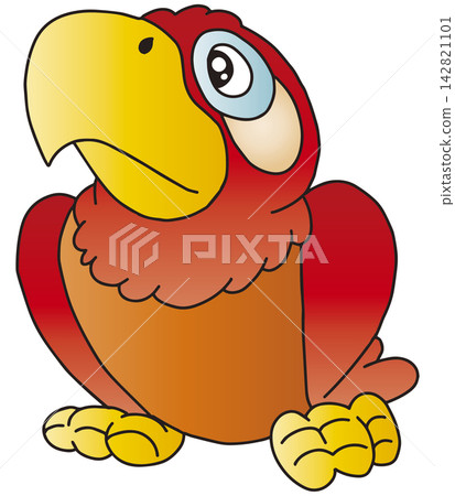手繪鳥類插圖☆金剛鸚鵡 手繪鳥類插圖☆金剛鸚鵡 142821101