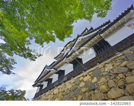 Hikone Castle, National Treasure, Lake Biwa Hikone Castle, National Treasure, Lake Biwa 142822063