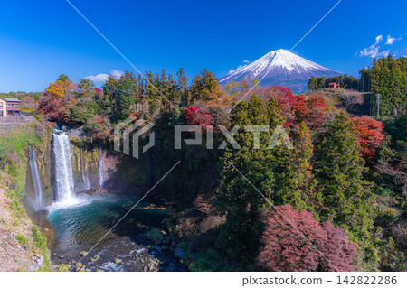 [Mt. Fuji Image] Autumn scenery - Otodome Falls and Mt. Fuji during the autumn foliage season [Shizuoka Prefecture] 142822286