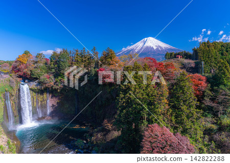 [Mt. Fuji Image] Autumn scenery - Otodome Falls and Mt. Fuji during the autumn foliage season [Shizuoka Prefecture] 142822288