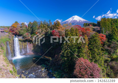 [Mt. Fuji Image] Autumn scenery - Otodome Falls and Mt. Fuji during the autumn foliage season [Shizuoka Prefecture] 142822289