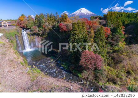 [Mt. Fuji Image] Autumn scenery - Otodome Falls and Mt. Fuji during the autumn foliage season [Shizuoka Prefecture] 142822290