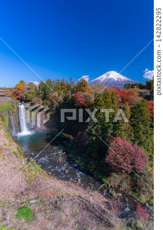 【富士山圖片】秋景 - 秋季紅葉時分的乙宿瀑布和富士山【靜岡縣】 142822295