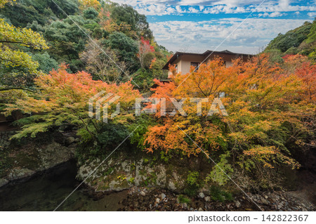 Osaka Japan, Minookoen the walkway to Minoh Falls in autumn season Osaka Japan, Minookoen the walkway to Minoh Falls in autumn season 142822367