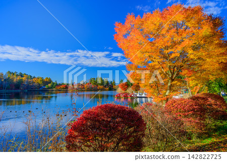 A beautiful early morning scene captured from the promenade along Lake Tateshina on a clear autumn day, showing the lake surface stretching out beyond the hedges and swan boat dock, and the autumn foliage on the opposite shore. A beautiful early morning scene captured from the promenade along Lake Tateshina on a clear autumn day, showing the lake surface stretching out beyond the hedges and swan boat dock, and the autumn foliage on the opposite shore. 142822725