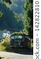 Abandoned bus in a forest covered in grass 142822810