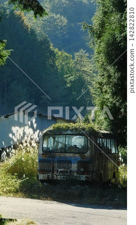Abandoned bus in a forest covered in grass Abandoned bus in a forest covered in grass 142822810