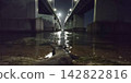 Biwa Lake Bridge as seen from directly below, illuminated by the full moon. 142822816