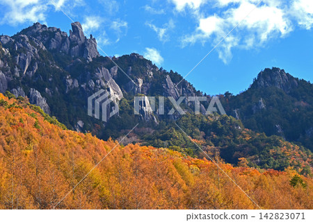 八嶽山、水垣山、紅葉風景 八嶽山、水垣山、紅葉風景 142823071