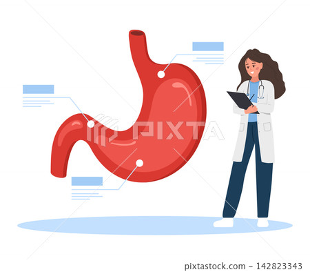 Gastroenterologist concept. Stomach disorder diagnosis. Internal organ scan. Patient consultation and medical treatment or therapy. Flat vector illustration Gastroenterologist concept. Stomach disorder diagnosis. Internal organ scan. Patient consultation and medical treatment or therapy. Flat vector illustration 142823343