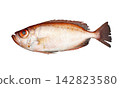 Image of a cutout of a Bigeye Snapper fish against a white background. 142823580