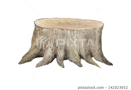 Natural tree stump. Watercolor illustration for Halloween scenes, woodland compositions and seasonal designs Natural tree stump. Watercolor illustration for Halloween scenes, woodland compositions and seasonal designs 142823652