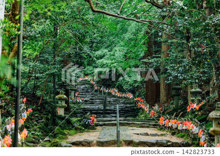 【滋賀縣東近江市】金剛林寺:參道兩側林立著上千尊地藏菩薩像和鬱鬱蔥蔥的綠植 【滋賀縣東近江市】金剛林寺:參道兩側林立著上千尊地藏菩薩像和鬱鬱蔥蔥的綠植 142823733
