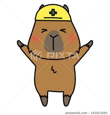 A capybara wearing a helmet A capybara wearing a helmet 142823893