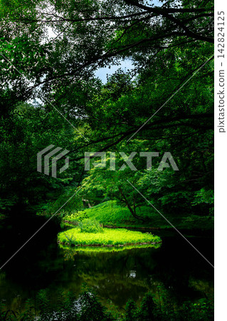 景觀與綠色 景觀與綠色 142824125