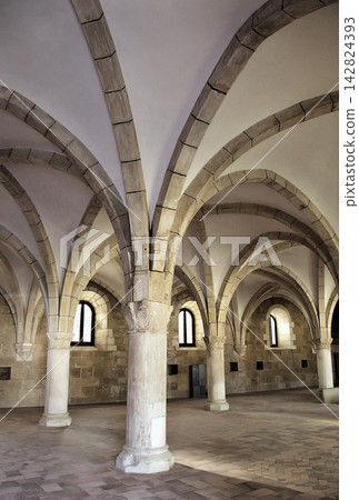 Vaulted ceiling and columns at Monastery Santa Maria in Alcobaca, Portugal Vaulted ceiling and columns at Monastery Santa Maria in Alcobaca, Portugal 142824393