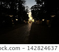 黃昏時的神社森林 142824637
