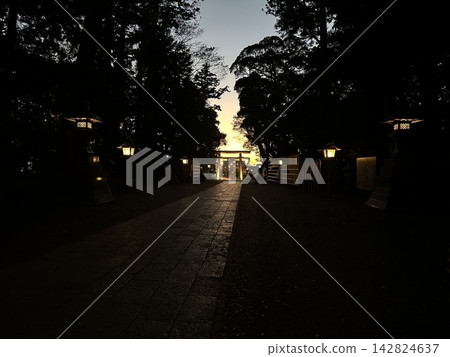 黃昏時的神社森林 142824637