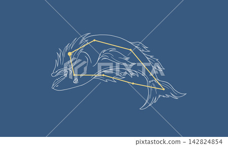 南魚座（白色星座線和金色星座輪廓）出現在深藍色背景。 142824854