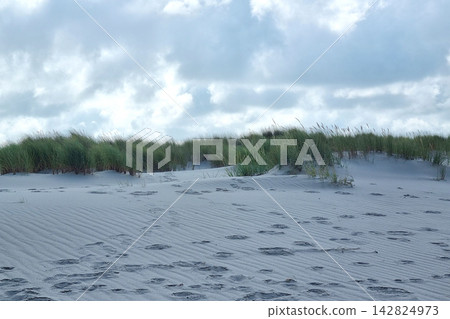 Tranquil Coastal Dunes with Grasses under Cloudy Skies for Nature Designs Tranquil Coastal Dunes with Grasses under Cloudy Skies for Nature Designs 142824973
