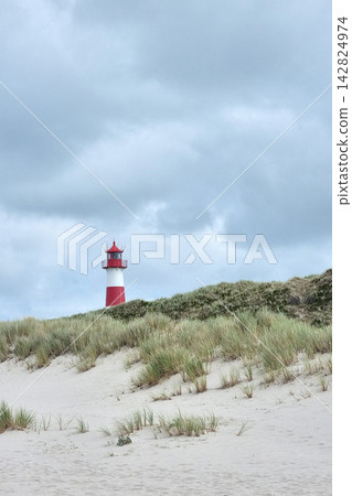 Coastal Landscape with Red Lighthouse and Sandy Dunes under Cloudy Sky Coastal Landscape with Red Lighthouse and Sandy Dunes under Cloudy Sky 142824974
