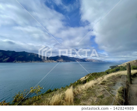 綿延在山坡上的草原,遠處是紐西蘭的湖泊。 綿延在山坡上的草原,遠處是紐西蘭的湖泊。 142824989