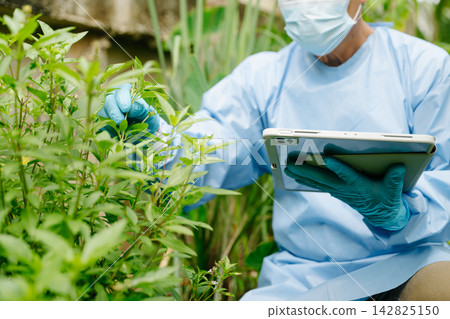 Smart farming and agricultural technology concept featuring plant research, crop monitoring, biotechnology, IoT, sustainable agriculture Smart farming and agricultural technology concept featuring plant research, crop monitoring, biotechnology, IoT, sustainable agriculture 142825150