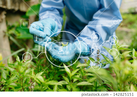 Smart farming and agricultural technology concept featuring plant research, crop monitoring, biotechnology, IoT, sustainable agriculture Smart farming and agricultural technology concept featuring plant research, crop monitoring, biotechnology, IoT, sustainable agriculture 142825151