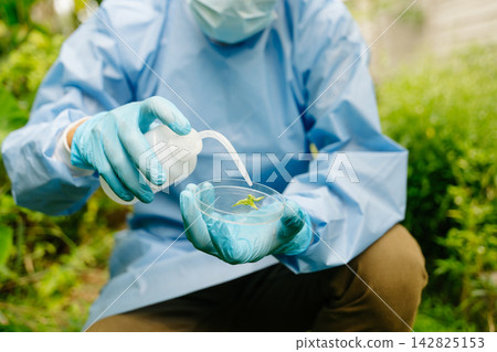 Smart farming concept with agricultural technology, plant research, crop monitoring, biotechnology, IoT, sustainable farming Smart farming concept with agricultural technology, plant research, crop monitoring, biotechnology, IoT, sustainable farming 142825153