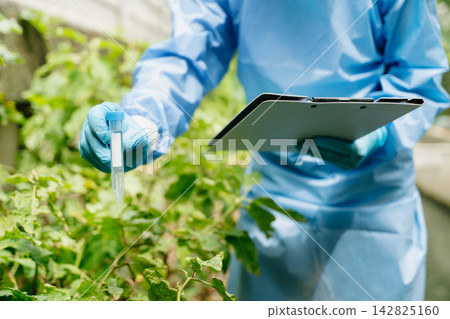 Scientist in protective gear recording crop health data on a clipboard in an outdoor agricultural r Scientist in protective gear recording crop health data on a clipboard in an outdoor agricultural r 142825160
